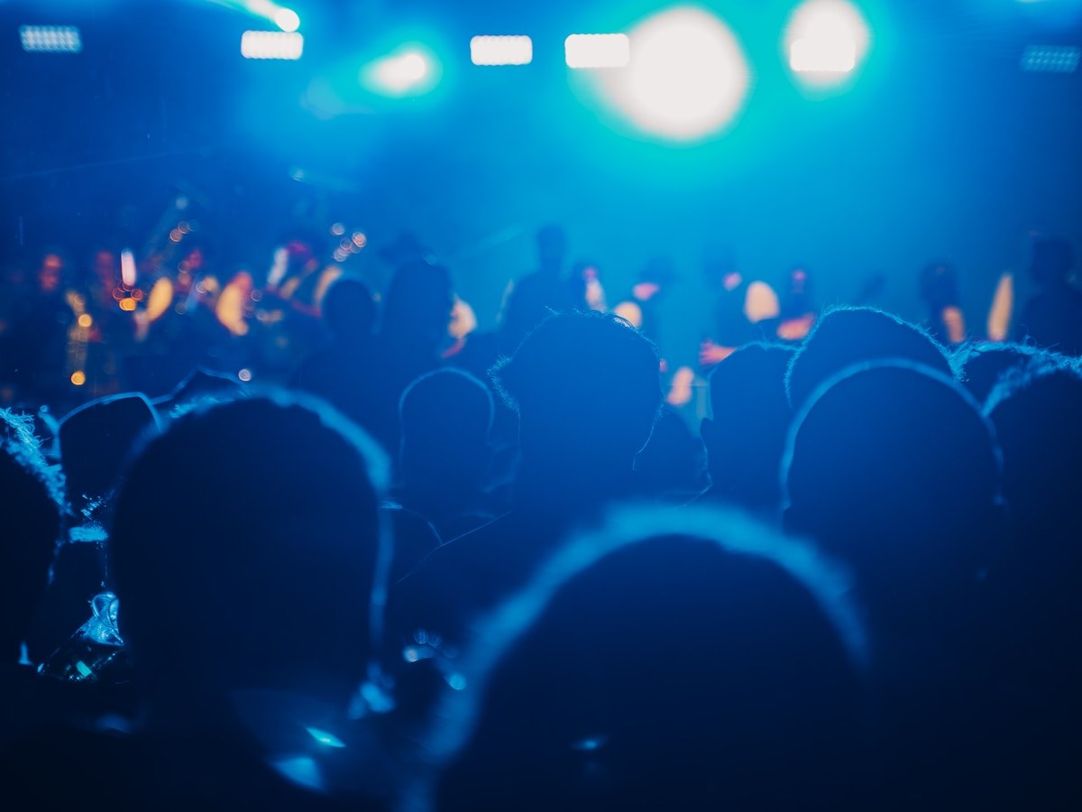 Concert crowd at a venue
